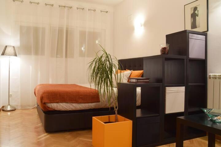 Estudio Acogedor Y Luminoso Leilighet Madrid Eksteriør bilde